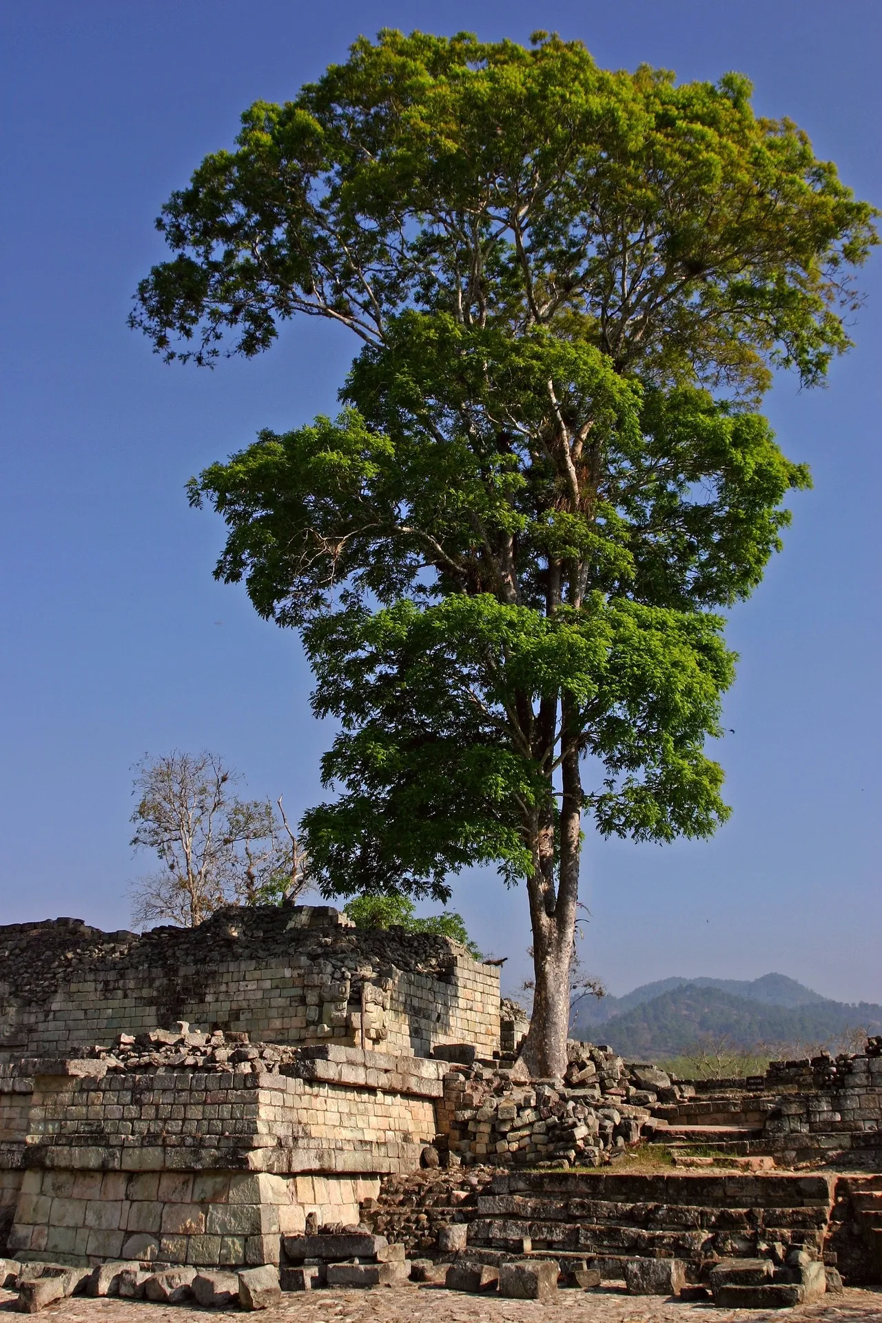 Ruinas de Copán - Honduras