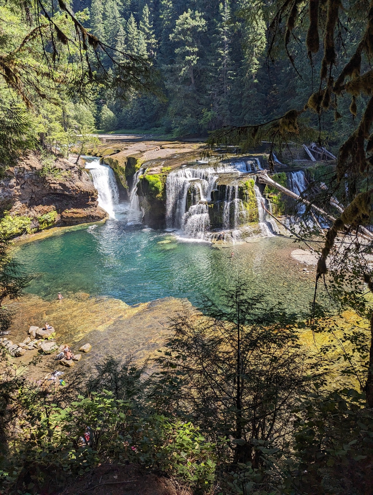 waterfall × Riverflow ビカクシダ ルイス Mt.Lewis Lewis River Falls — Washington Trails Association