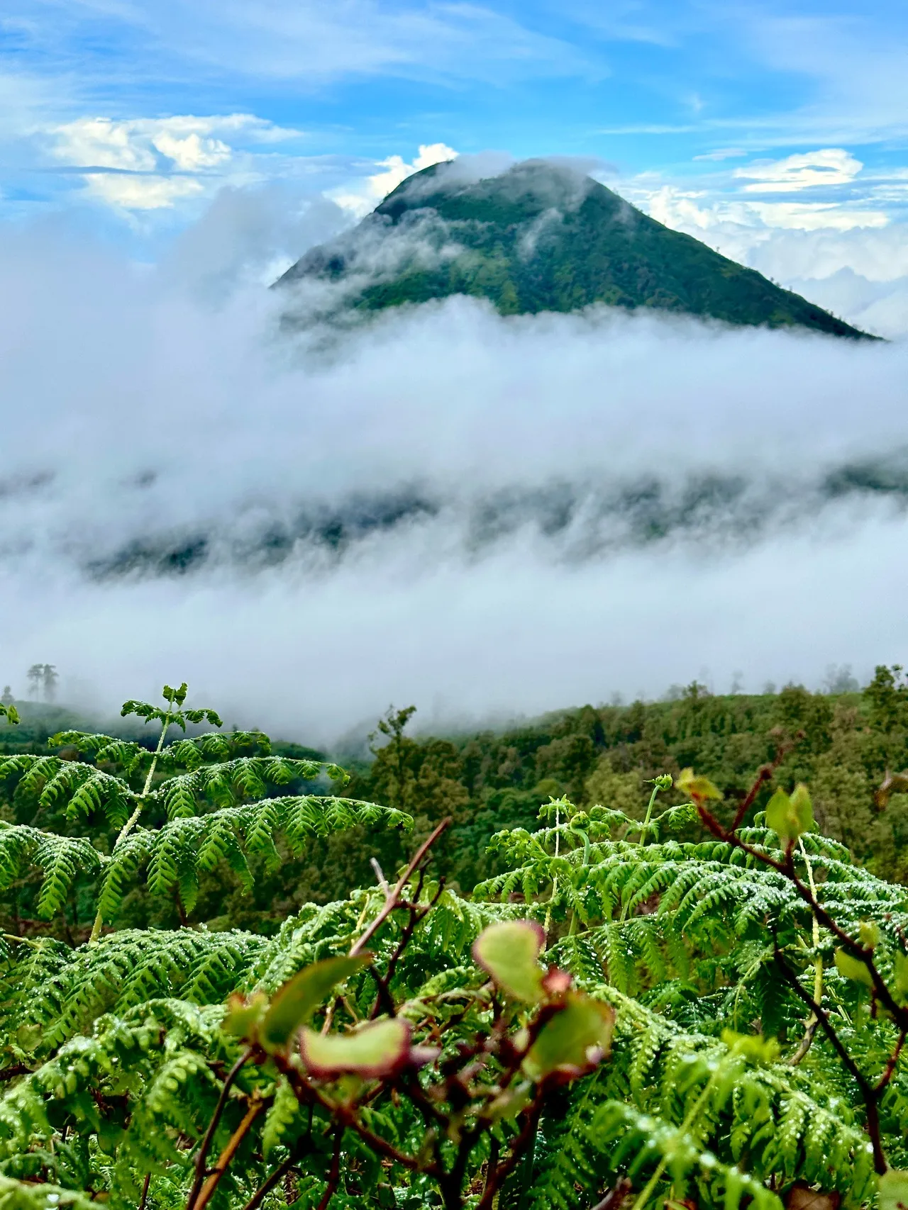 Mount Raung - Dari Wisata Kawah Ijen, Indonesia