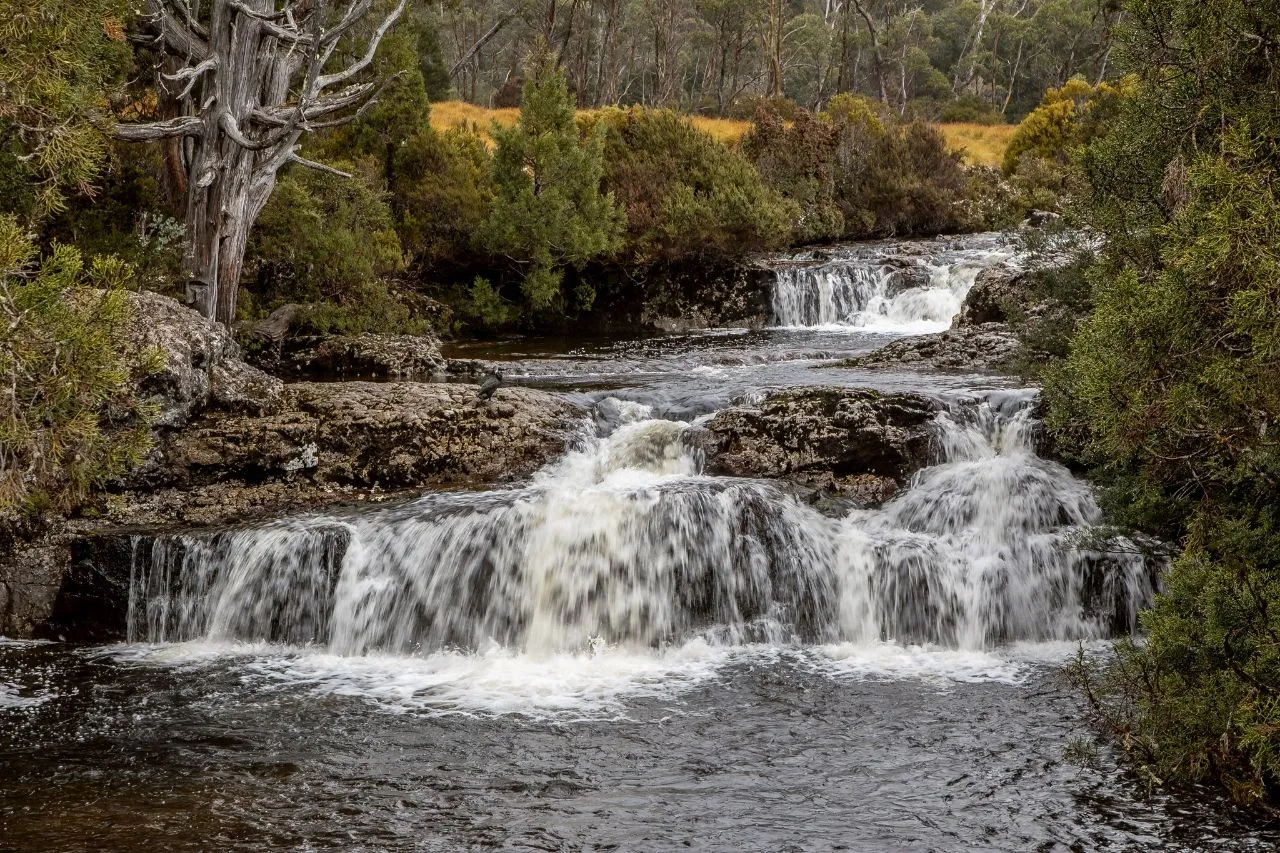 Cascades of Pencil Pine Creek - Desde Bridge of Cradle Mountain Road, Australia