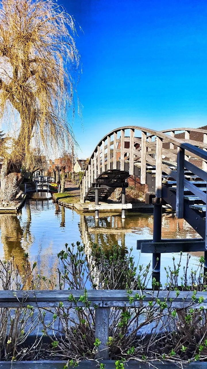 Arent Dirckszn. Vosstraat - Netherlands