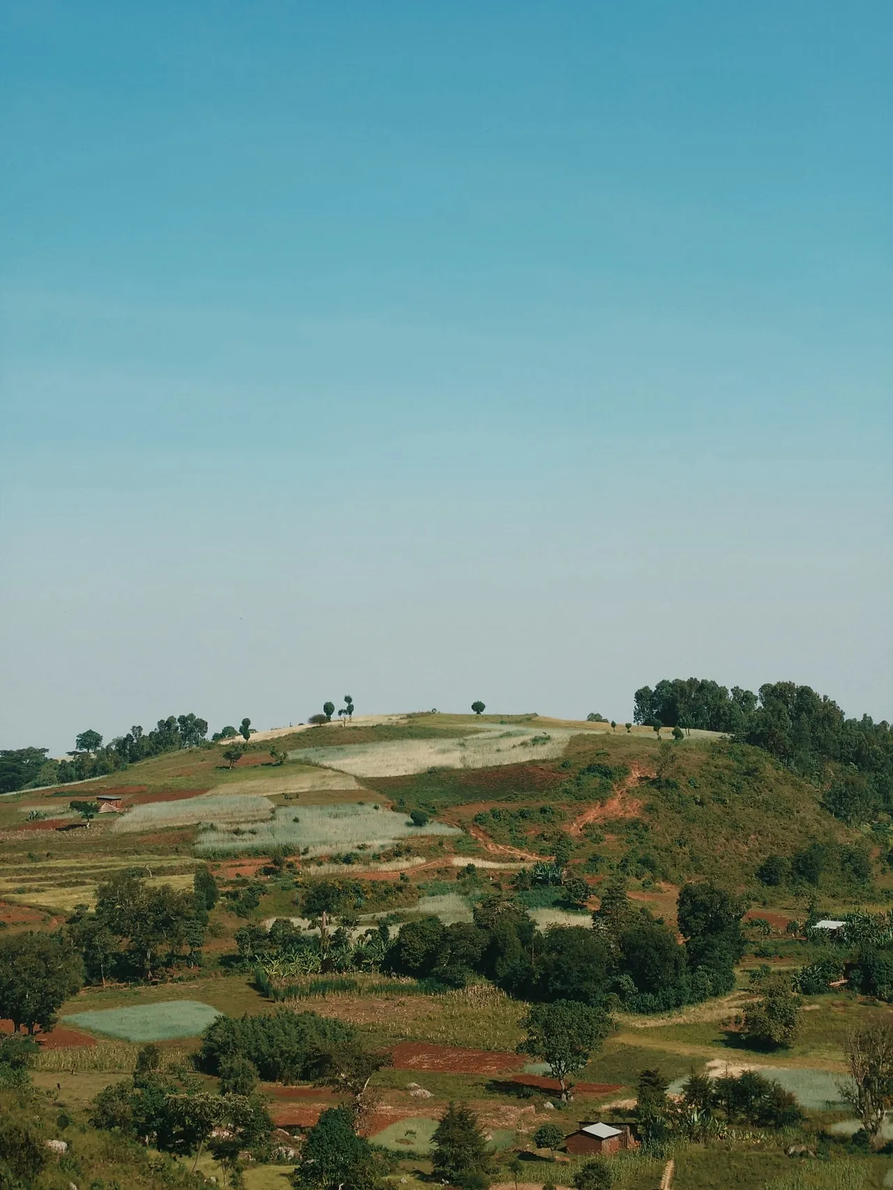 Dorze - Ethiopia