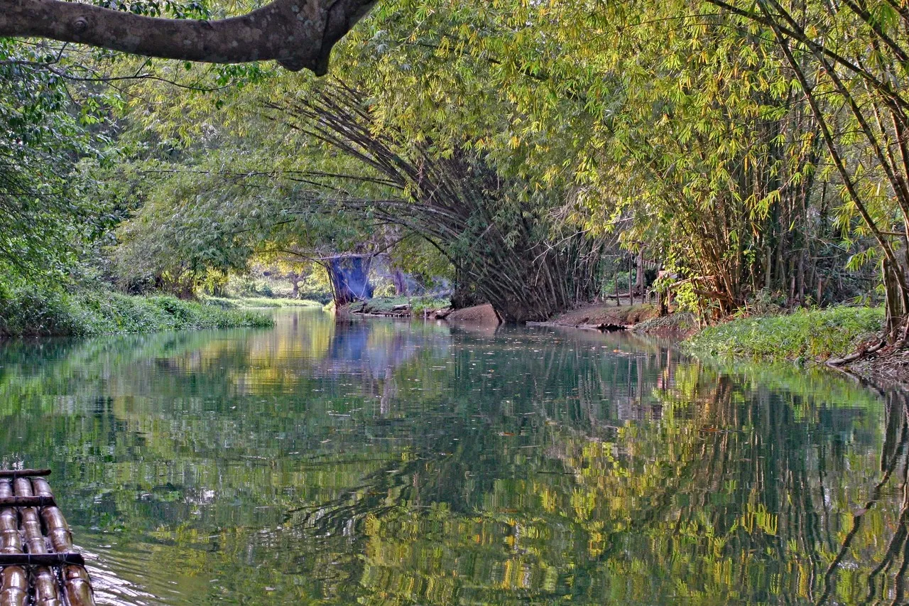 Martha Brae River - З Raft, Jamaica