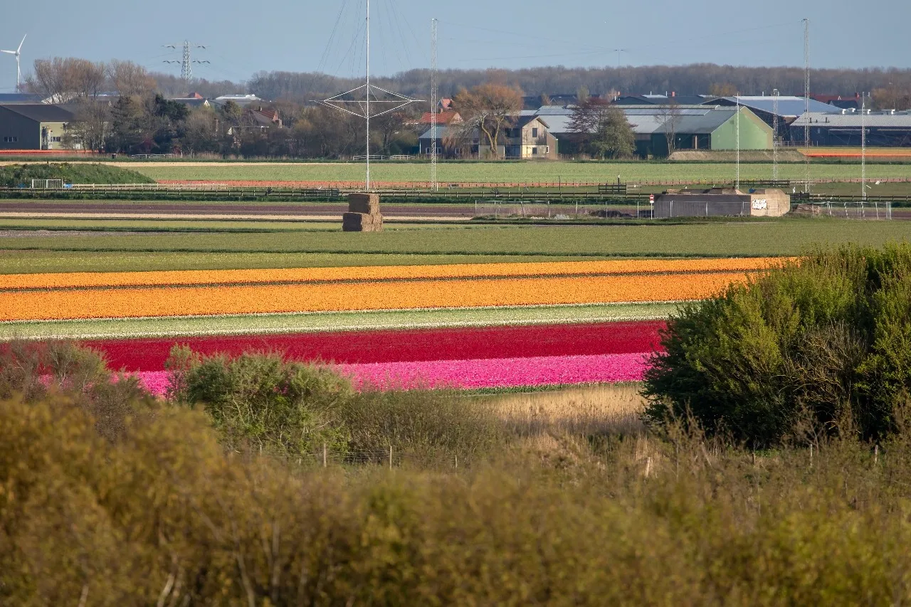 Noordholland in Spring - 출발지 Viewpoint, Netherlands
