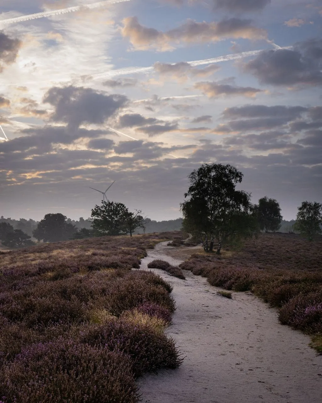 Westruper Heide - Von Trails, Germany