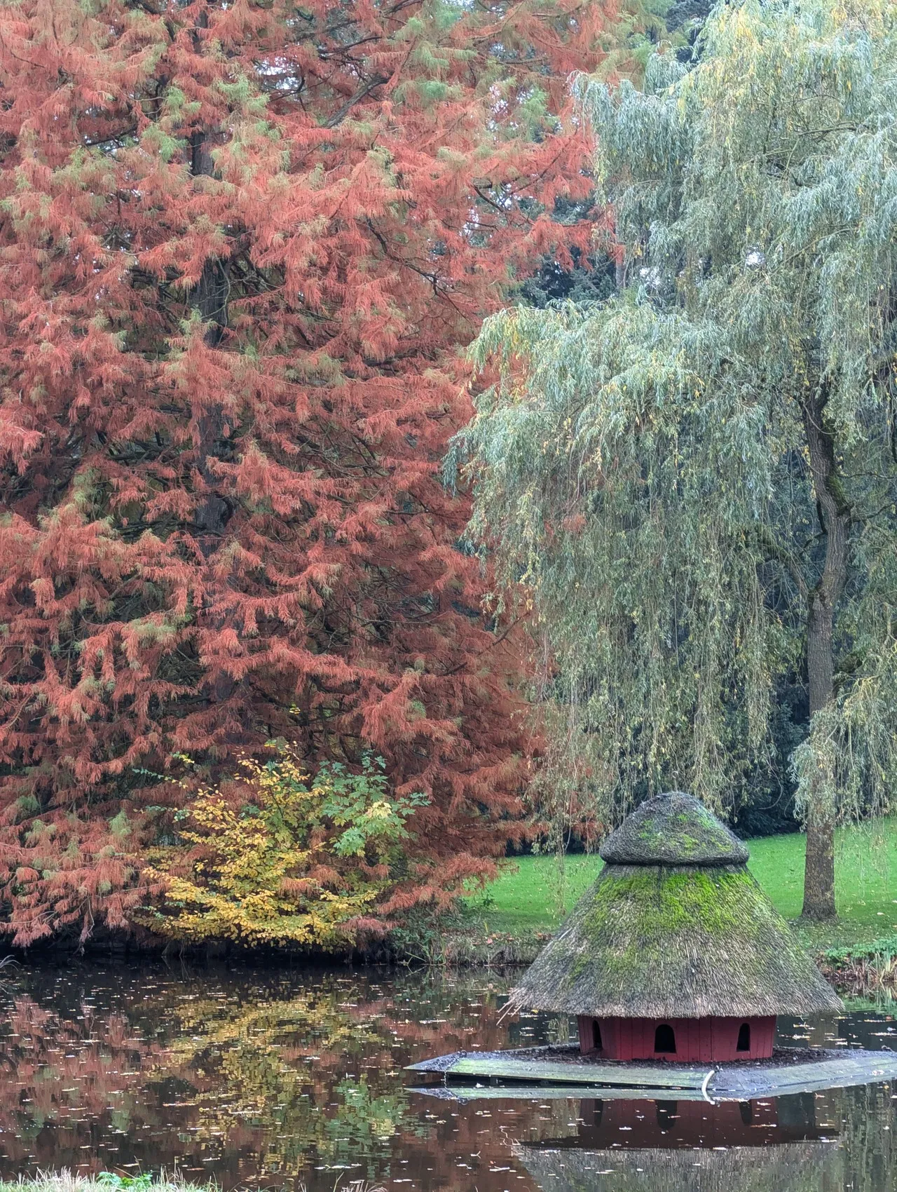 Schwanenteich - From Bürgerpark Bremen, Germany