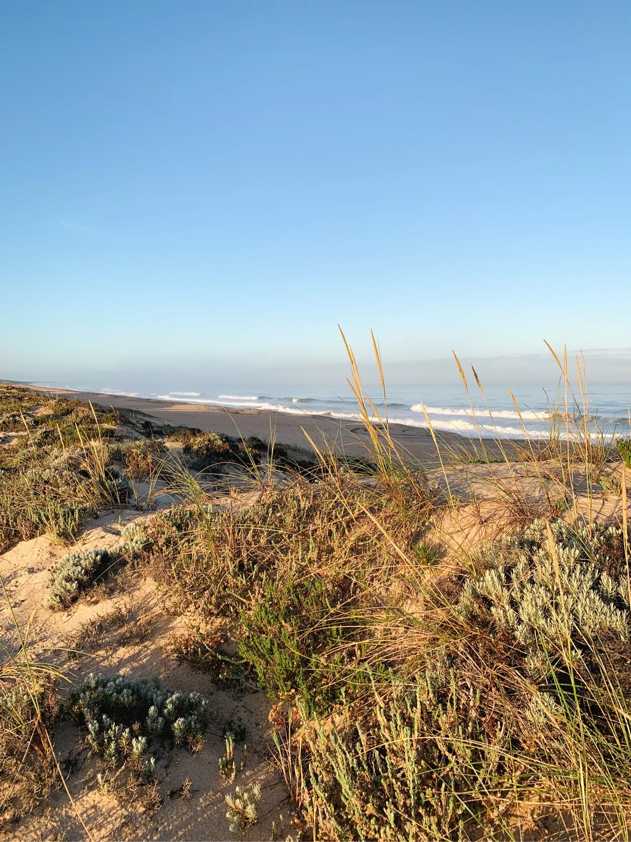 Praia de Melides - Portugal