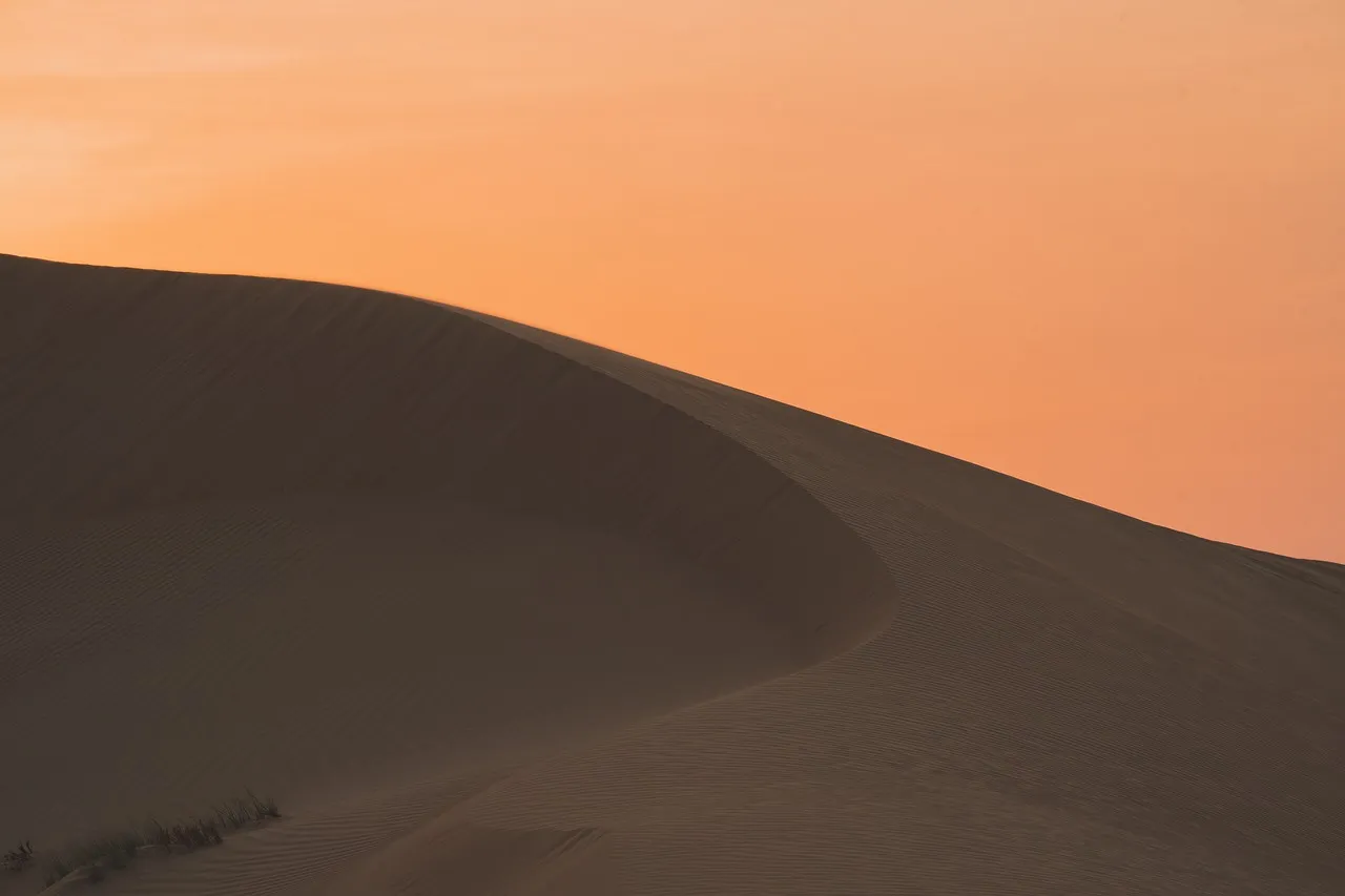 Desert Rose Safari Camp - United Arab Emirates