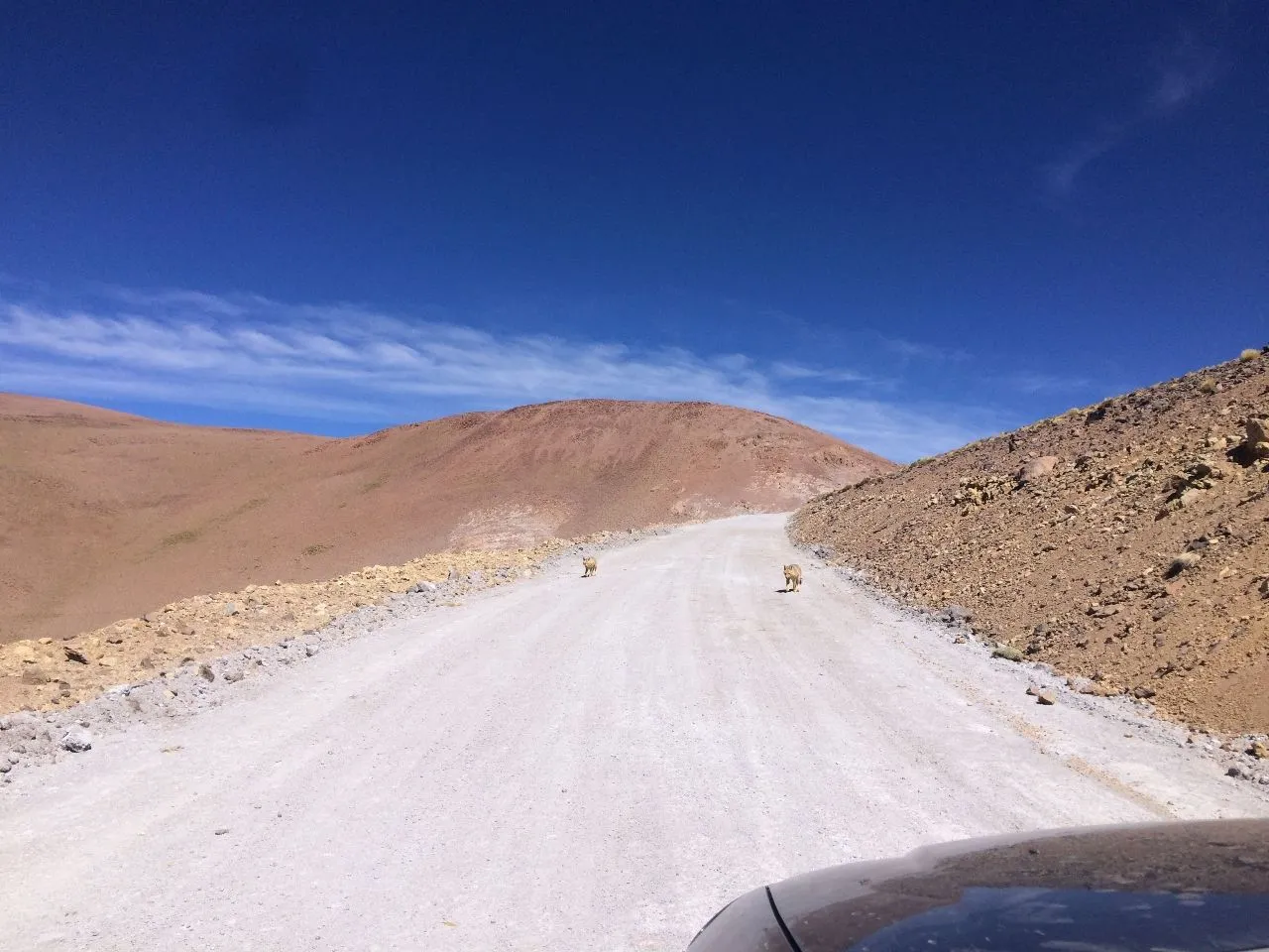Abra del Acay - From Ruta 40, Argentina