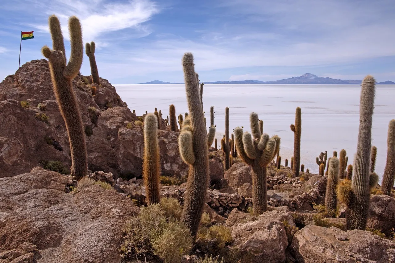 Isla Incahuasi - Von Internal Path, Bolivia