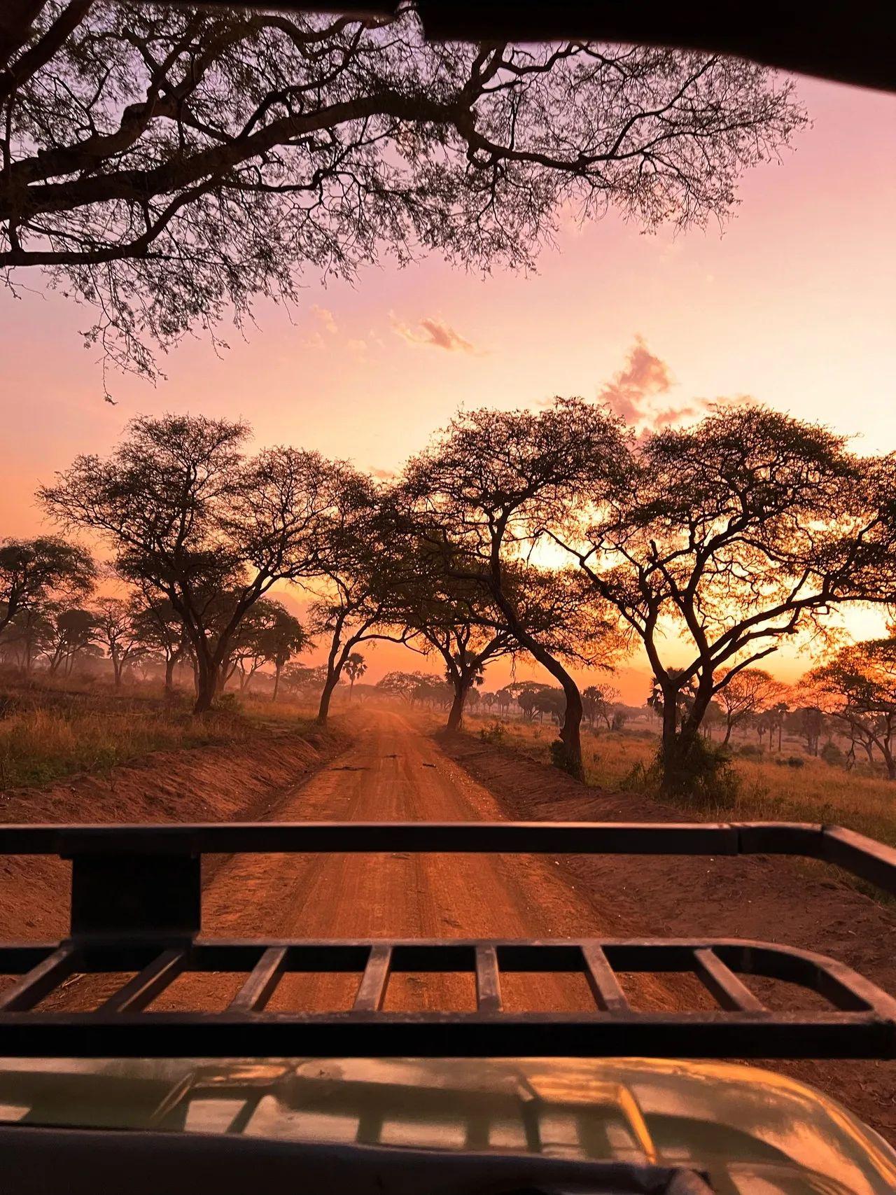 Safari trip near Pakuba - Uganda