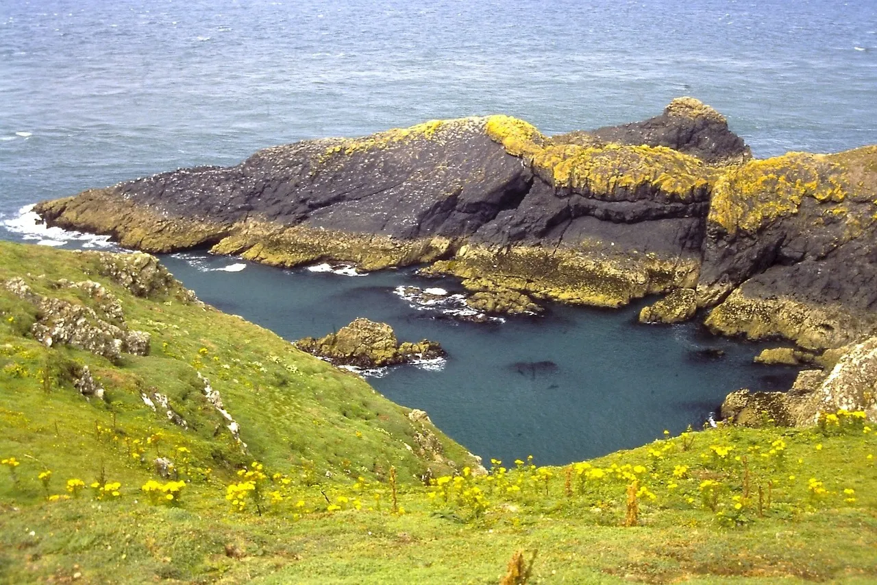Caves at Skomer Island - United Kingdom
