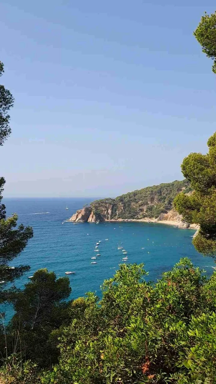 Cala Llorell & Cap de Bou - Da Camino a Cala Figuera, Spain