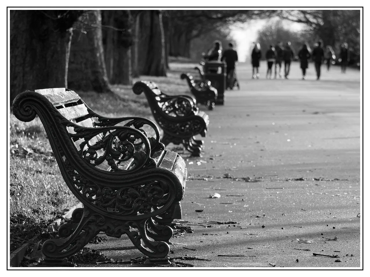 Regent's Park, London - Von Outer circ, United Kingdom