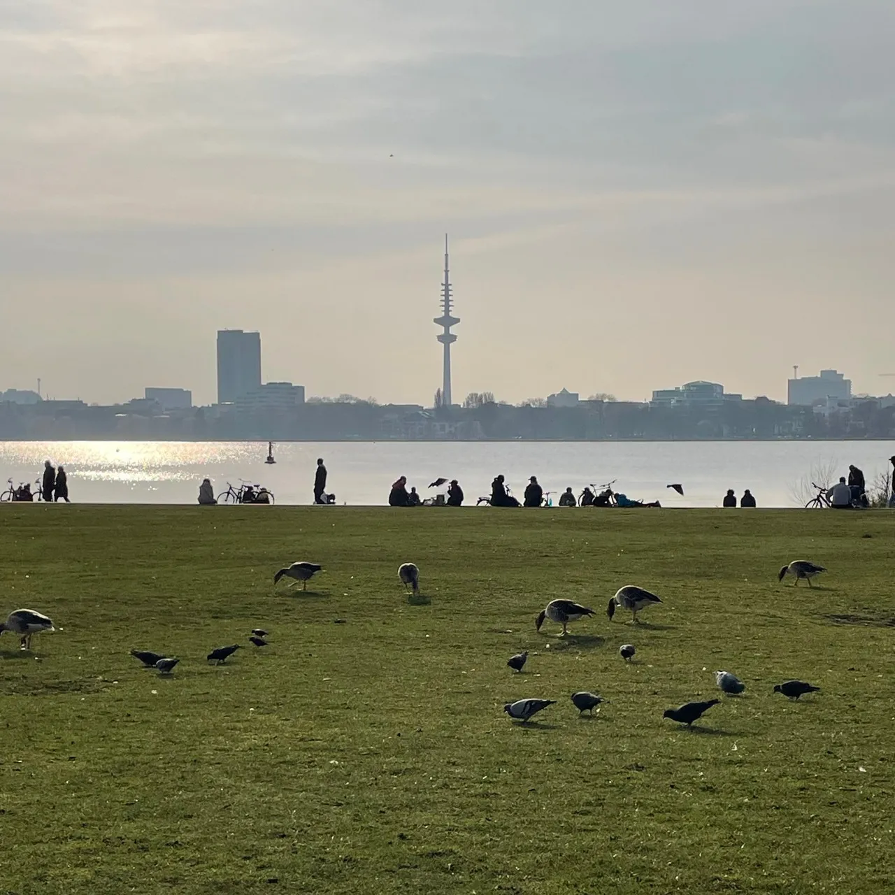 Fernsehturm Hamburg - Od Alsterwiese Schwanenwik, Germany