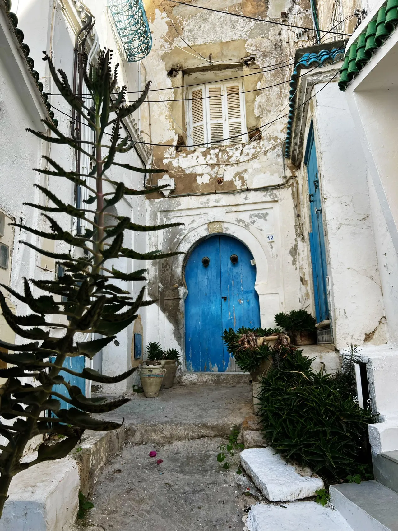 Carthage's Streets - З Approximate area, Tunisia