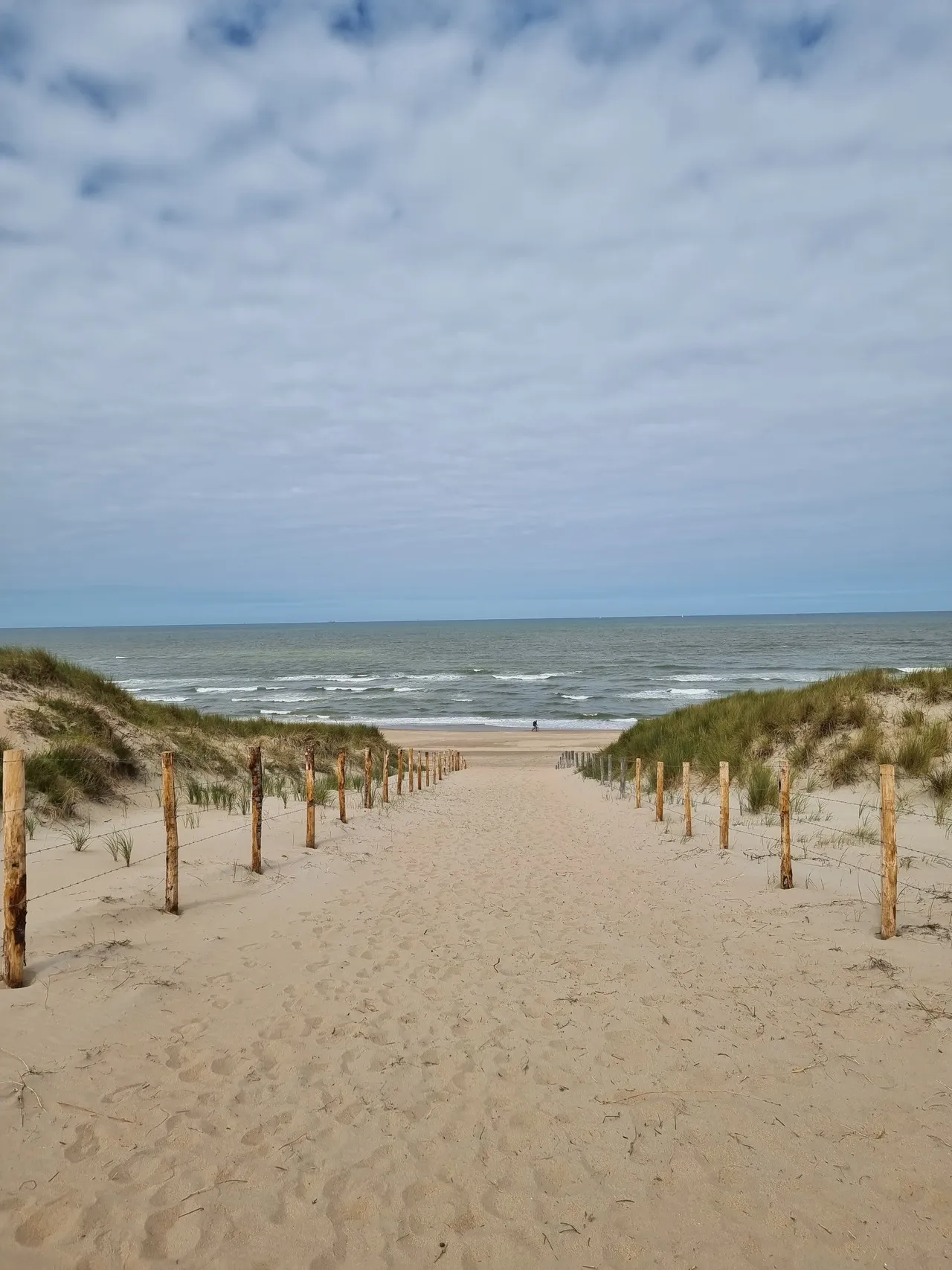 Bodhi Beach - Netherlands