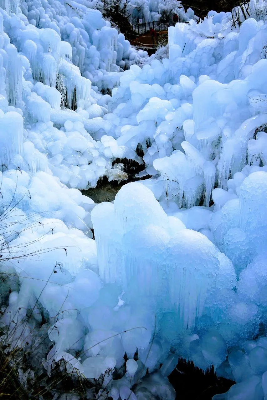 Icicles of Ashigakubo - Desde Ashigakubo, Japan