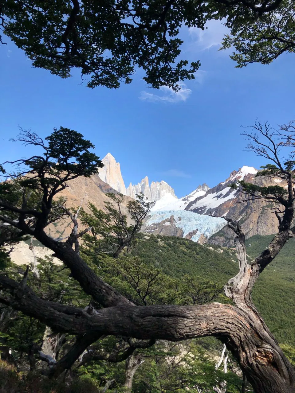 Glaciar Piedras Blancas - Desde Camino del Mirador, Argentina