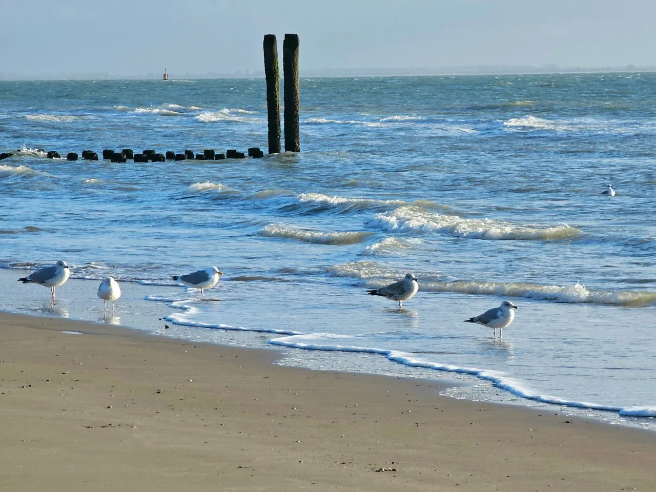 Nollestrand - Netherlands