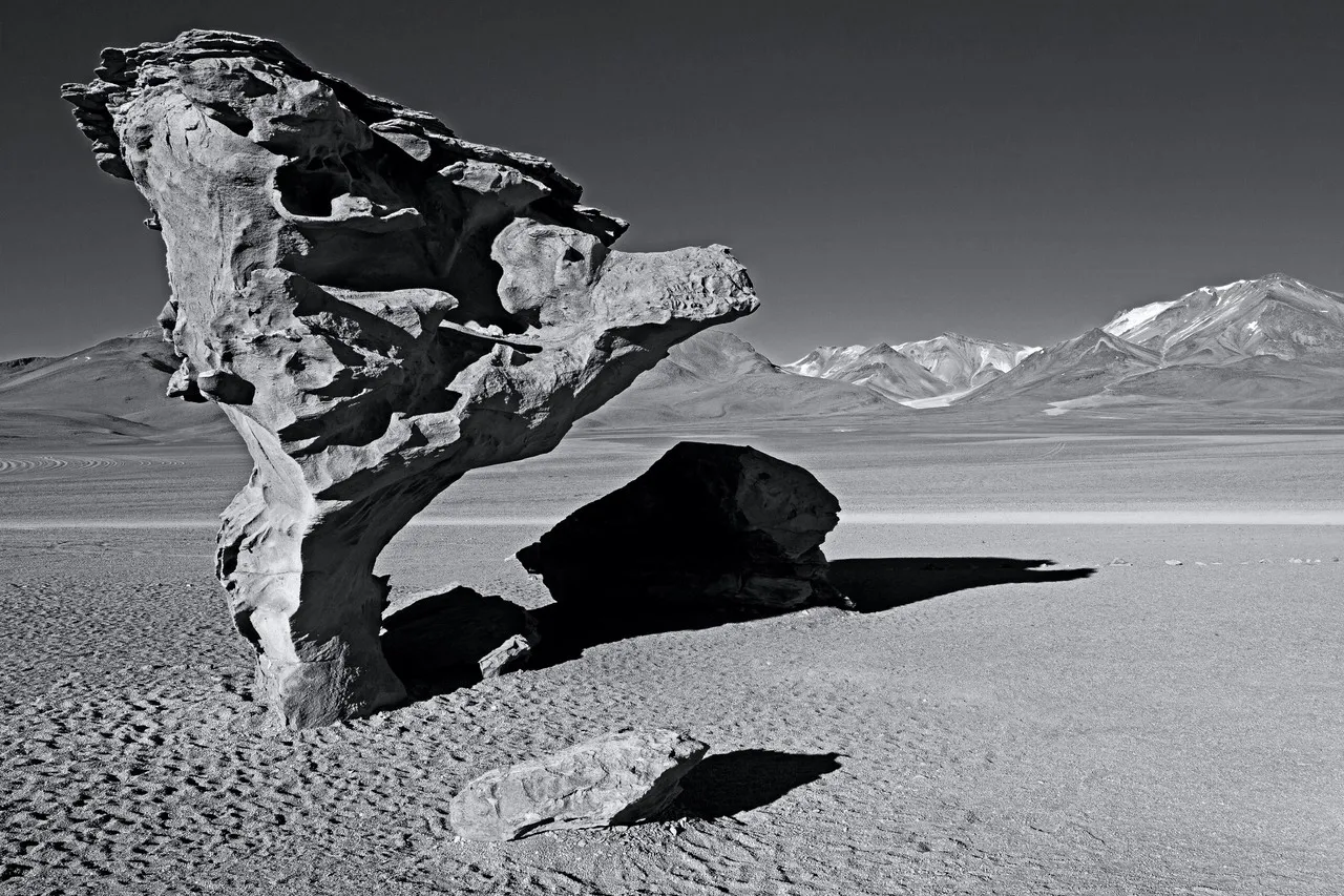 El Árbol De Piedra - Bolivia