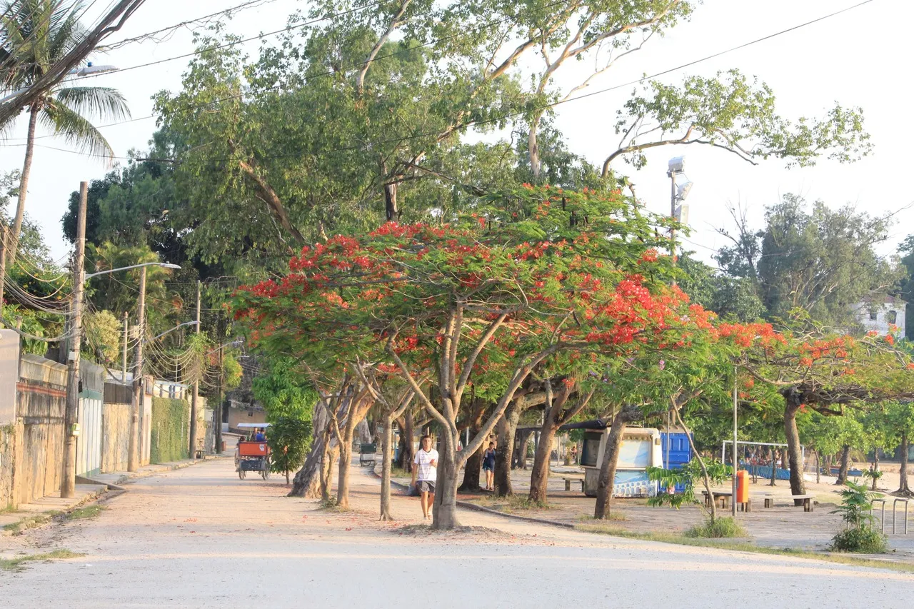 Paquetá - З Rua da Moreninha, Brazil
