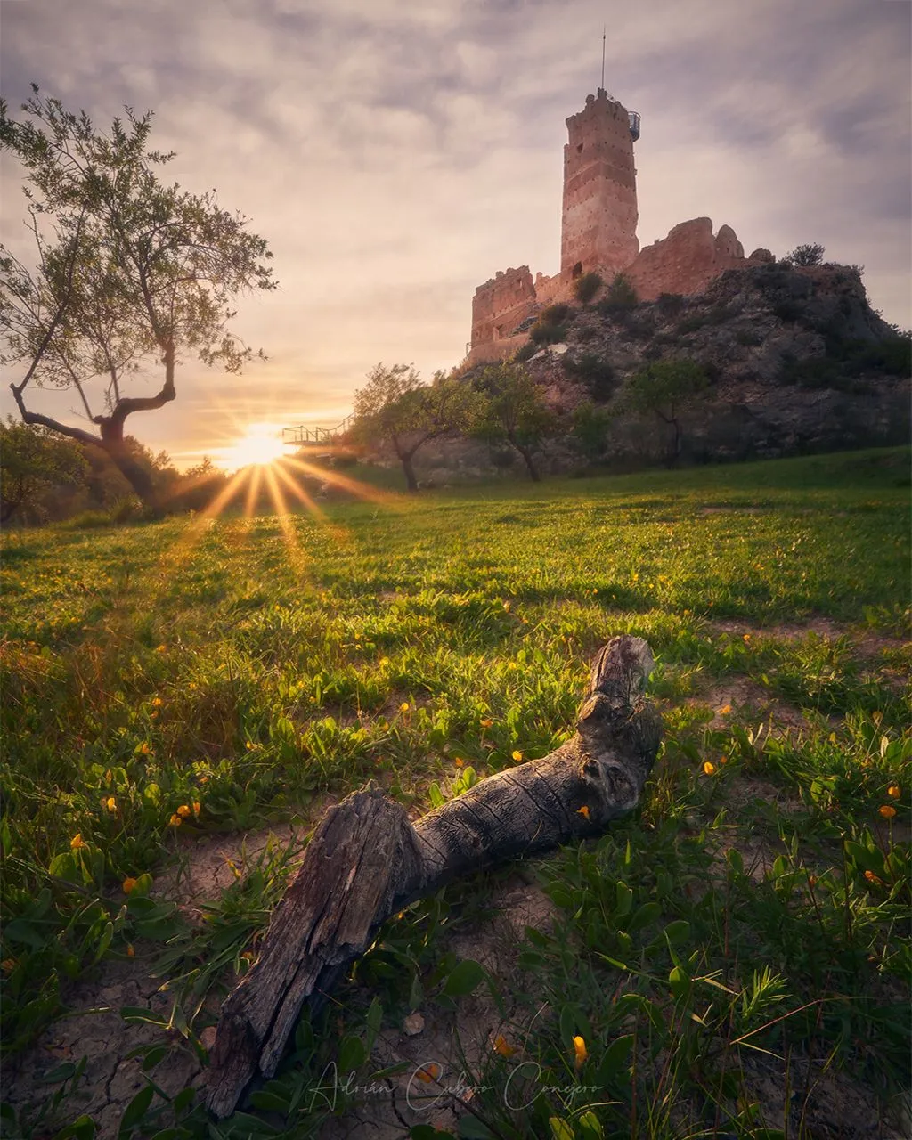 Penella Castle - من Fields, Spain