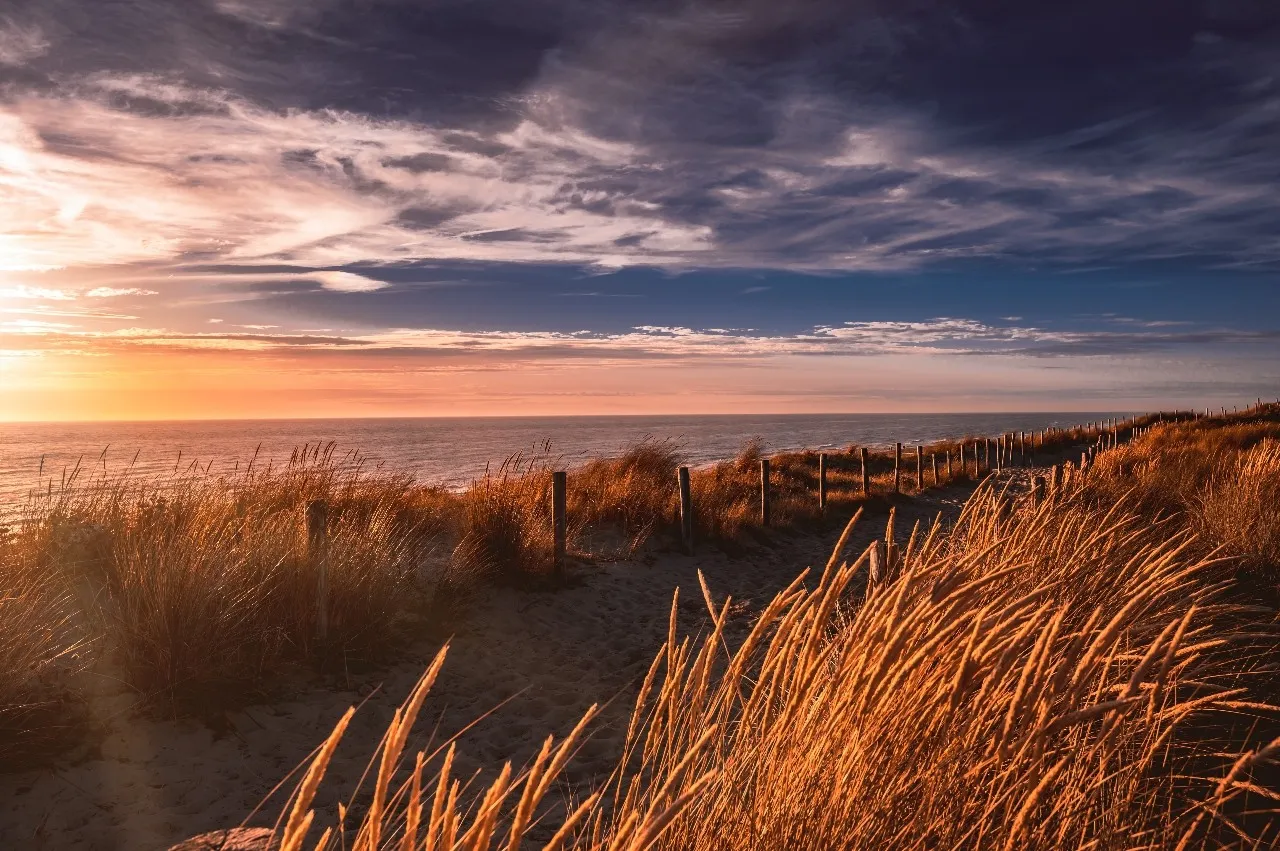 Weitläufiger Strand von Egmond aan Zee - Von Dünenweg am Rande von Egmond aan Zee, Netherlands