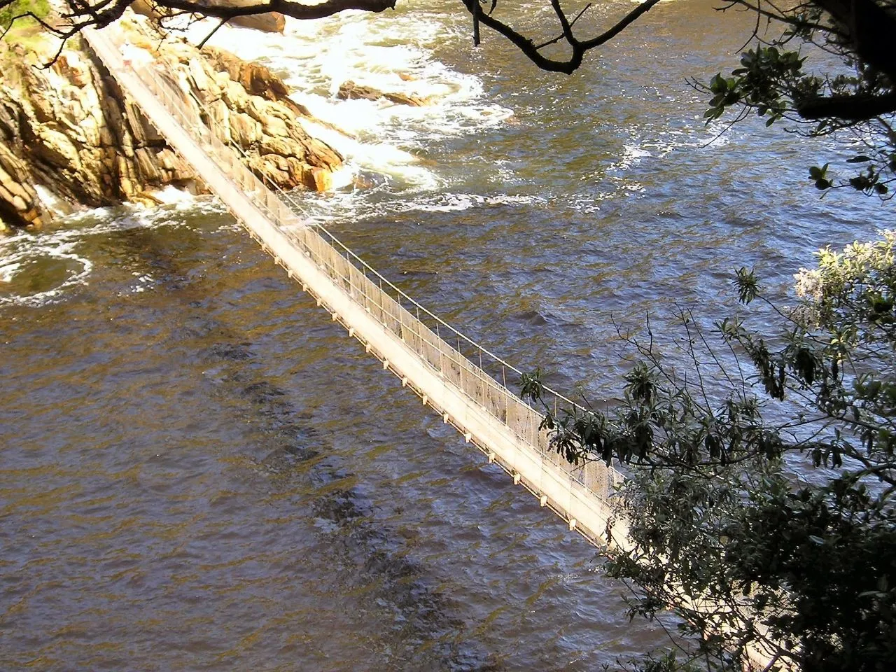 Suspension Bridge - Desde Path, South Africa
