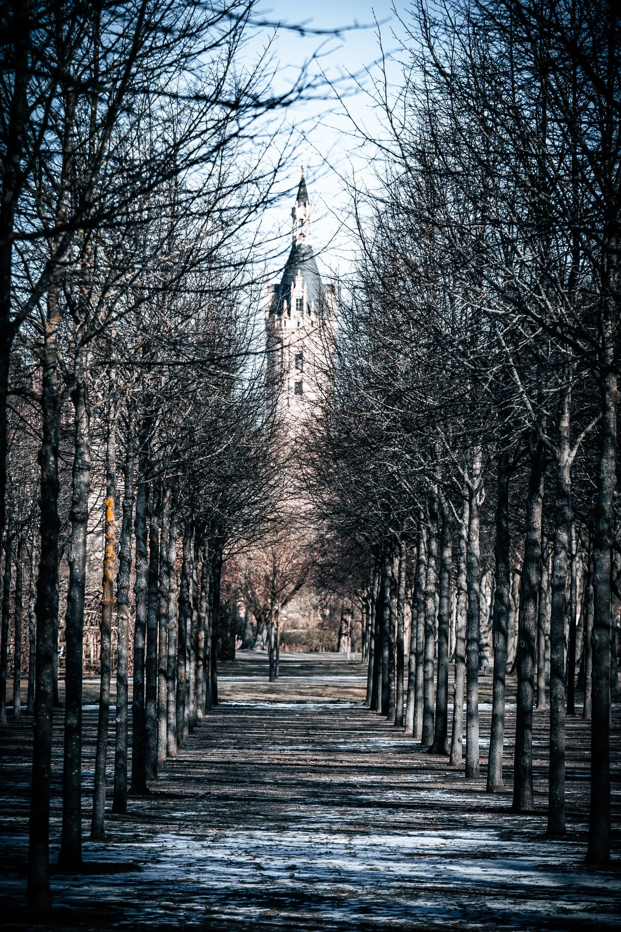 Laubengang - Germany