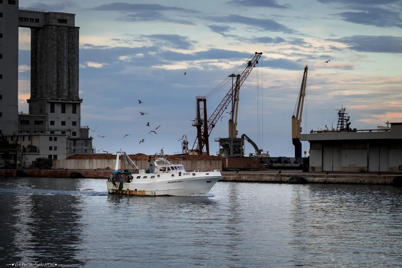 Port of Savona - Italy