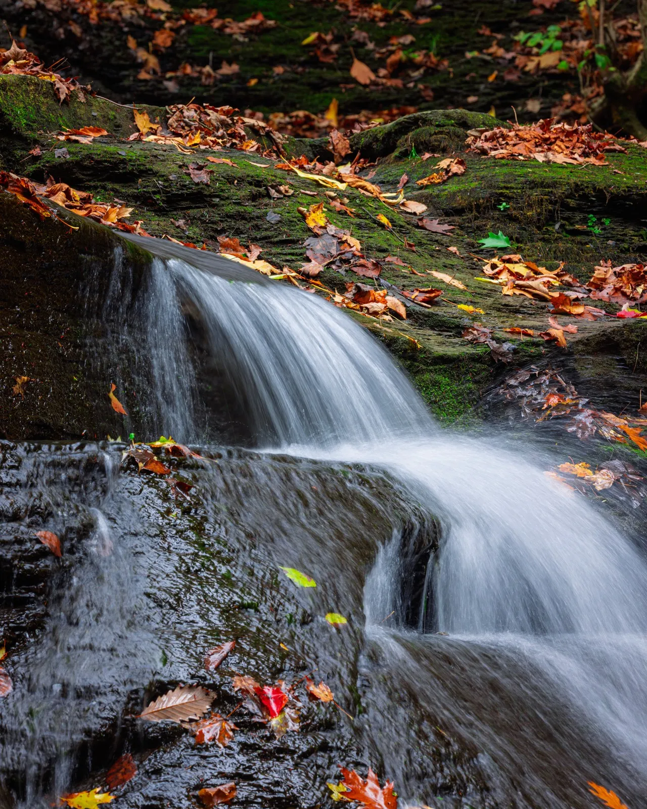 Hells Hollow Falls - United States