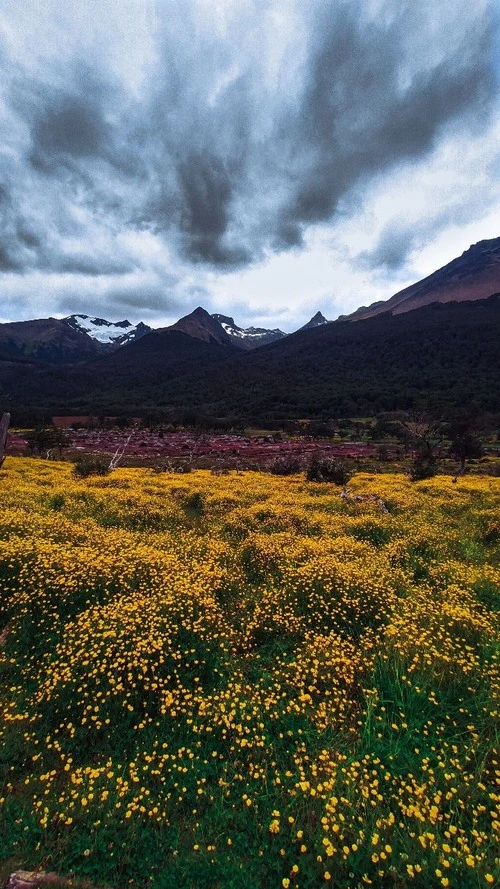 Camino de la Turbera - Argentina