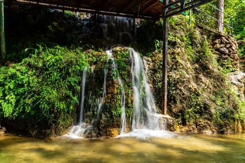 Filiz Piknik Obaçayı - Türkiye