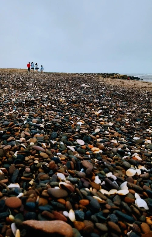 Playa de Mar del Sur - Argentina