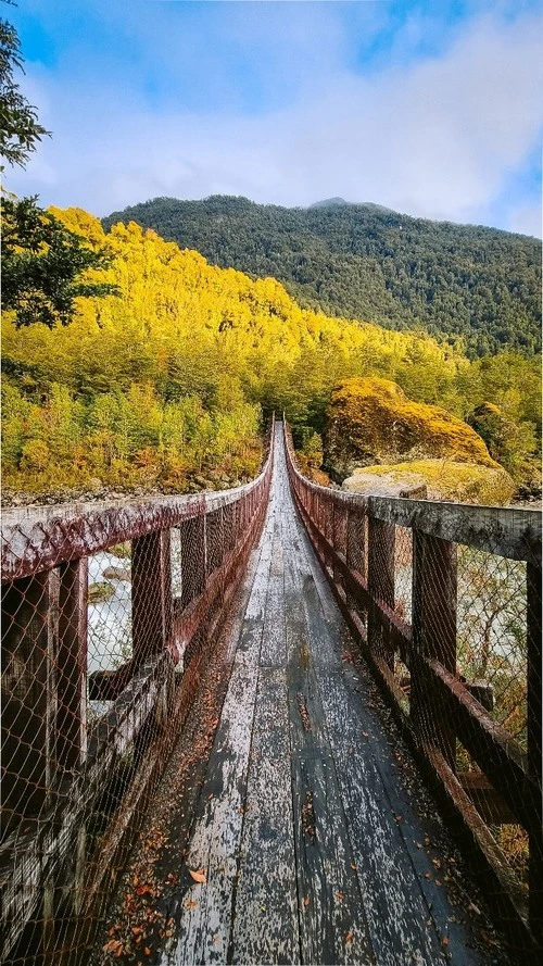 Puente camino a Queulat - Desde Camino al ventisquero, Chile