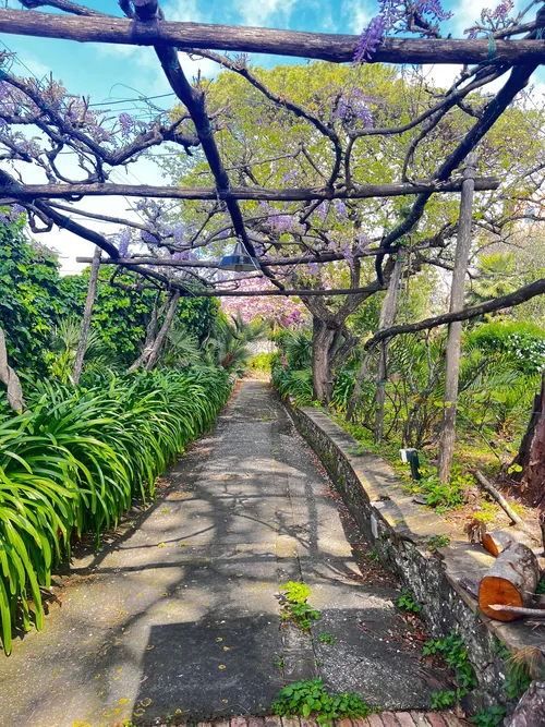 Photo spot