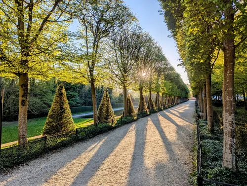 Hornbeam alley photo spot