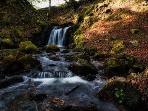 Mini cascada - Desde Bosque de Belaustegi, Spain
