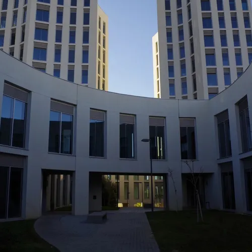 Faculty of Medicine - University of Granada - Spain