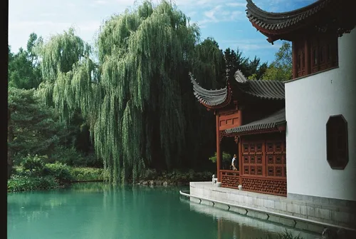 Chinese Garden - From Montreal Botanical Garden, Canada