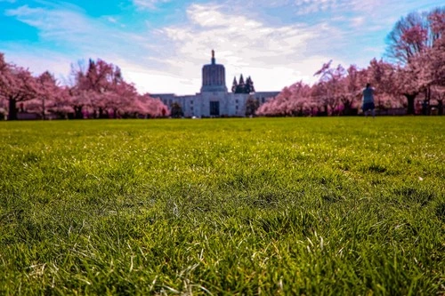 Oregon State Capitol - Depuis Cherry Blossom Park, United States