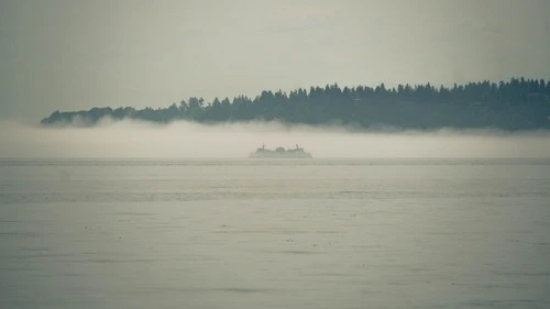 Ferry - から Pomeroy Park Boat Ramp, United States