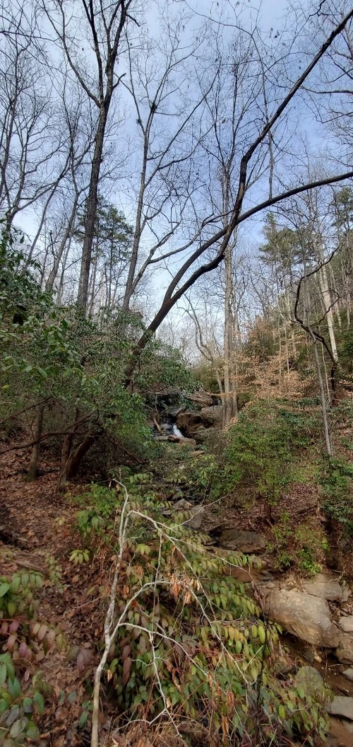 Nancy Town Falls - United States