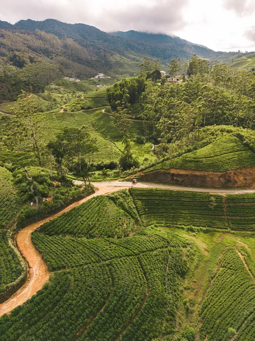 Olugantota - Pinnawala - Bogawantalawa Rd - From Drone, Sri Lanka