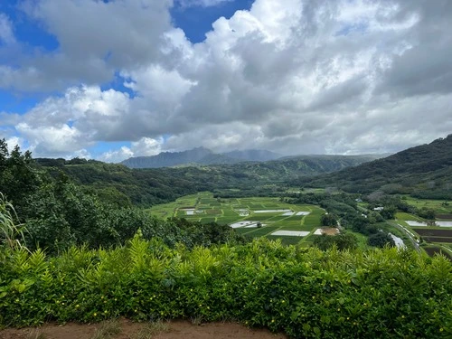 Hanalei Valley - Aus Hanalei Valley Lookout, United States