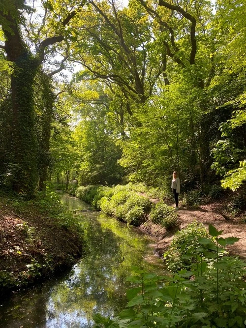 Park Meer en Bos - Netherlands