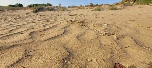 Dune - Des de Santa maria del Focallo, Italy