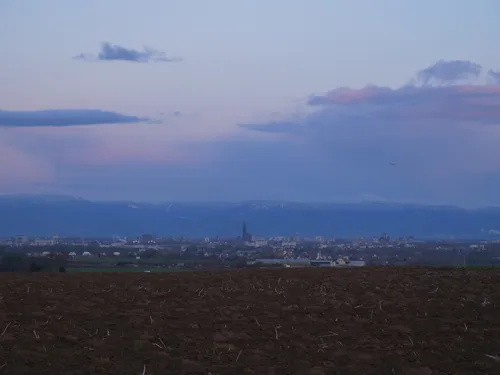 Fields near Kolbsheim - France