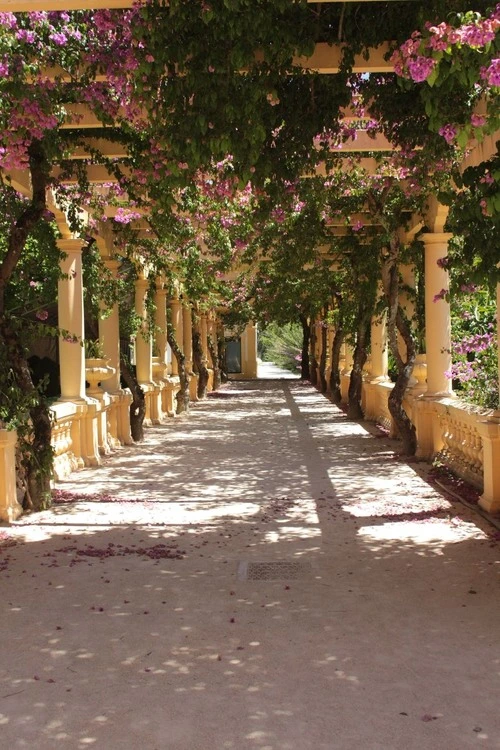 Parque Infante Don Pedro - Portugal